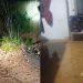 Chuva provoca alagamentos e quedas de barreiras em Corupá