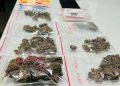 Jovem é preso por tráfico de drogas em Jaraguá do Sul