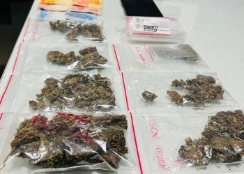 Jovem é preso por tráfico de drogas em Jaraguá do Sul