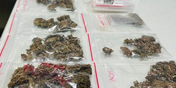 Jovem é preso por tráfico de drogas em Jaraguá do Sul