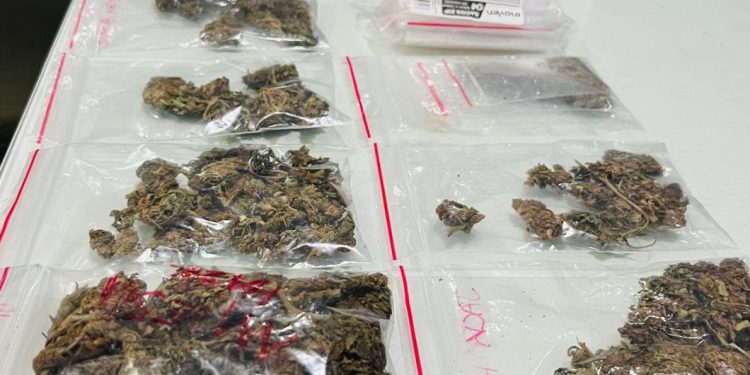 Jovem é preso por tráfico de drogas em Jaraguá do Sul