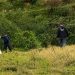 Após invadir casas, homem é encontrado morto em Guaramirim