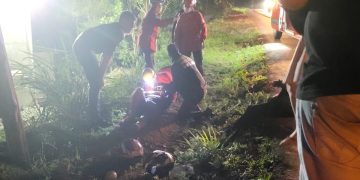 [Vídeo] Casal em moto fica ferido após animal atravessar a pista em Guaramirim