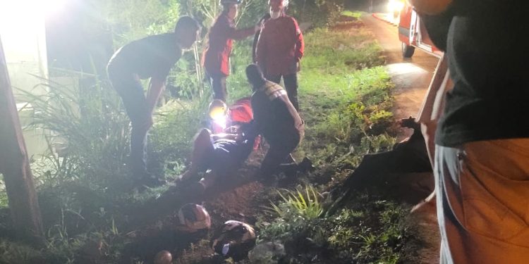 [Vídeo] Casal em moto fica ferido após animal atravessar a pista em Guaramirim