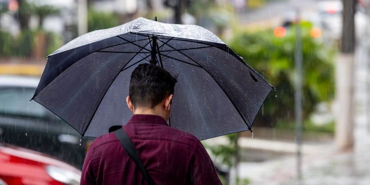 Semana começa com frio em Santa Catarina e chuva forte deve voltar a partir de terça-feira