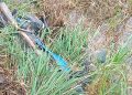 Motociclista fica gravemente ferido após acidente com caminhão na SC-108, em Massaranduba