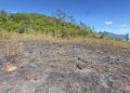 Bombeiros evitam que incêndio em mata atinja residências e creche em Schroeder