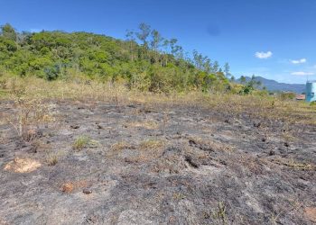Bombeiros evitam que incêndio em mata atinja residências e creche em Schroeder