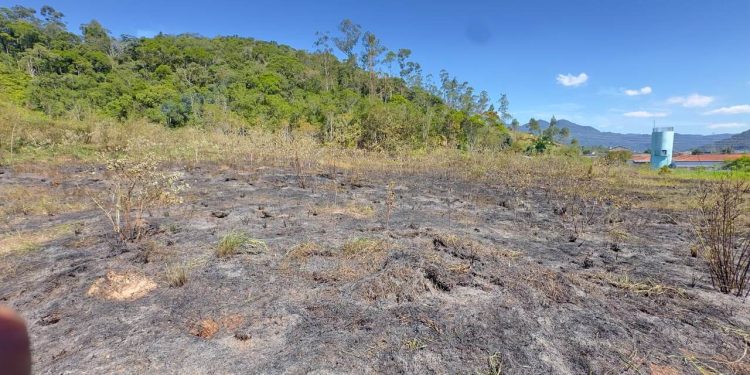Bombeiros evitam que incêndio em mata atinja residências e creche em Schroeder
