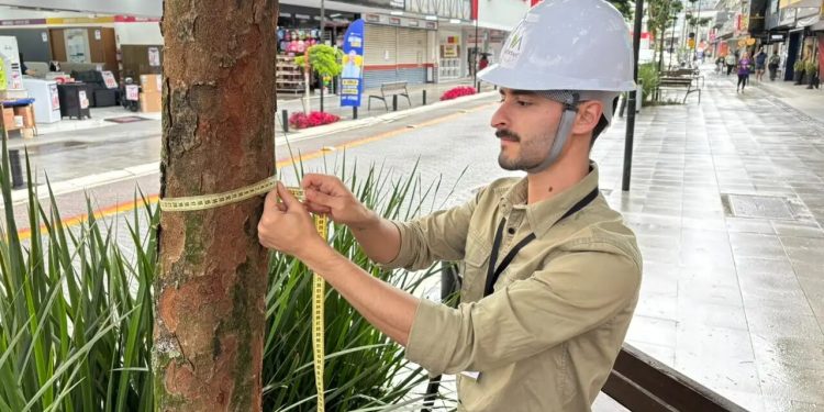 Jaraguá do Sul inicia levantamento das árvores existentes em áreas públicas